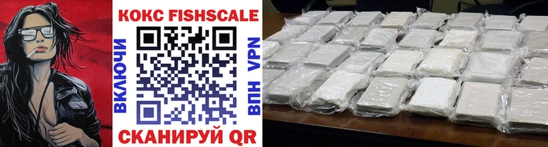 Кокаин FishScale цена Дальнегорск