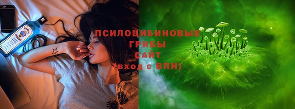 амф Богородицк