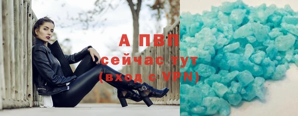 гашиш Богданович
