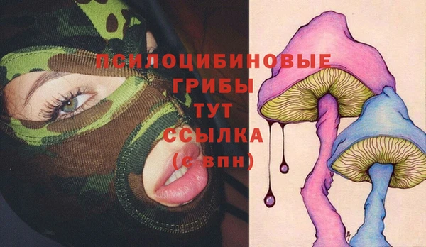 амф Богородицк