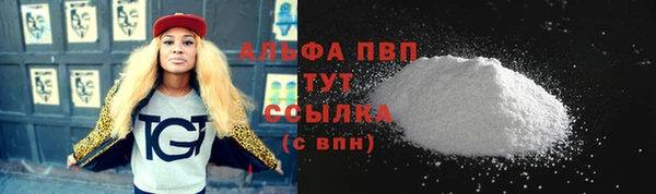 гашиш Богданович