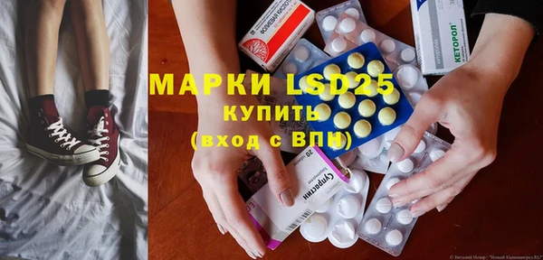 гашиш Богданович